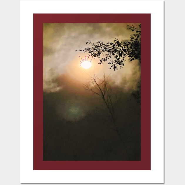 Moonlight - Clouds - Night - Trees Wall Art by The Global Worker